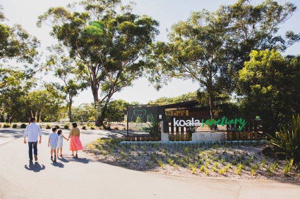 Koala Sanctuary Port Stephens
