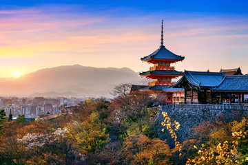 Hong Kong's Skylines & the Perfect Fortnight in Japan