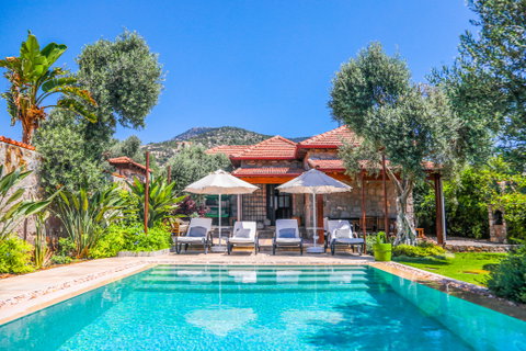 Standard Villas