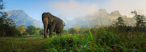 Bahrain & Thailand