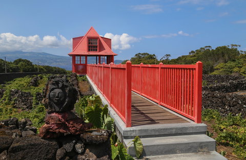 Pico