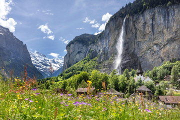 Zurich and the Bernese Oberland in Bloom