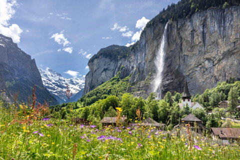 Zurich and the Bernese Oberland in Bloom
