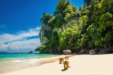 Koh Phi Phi