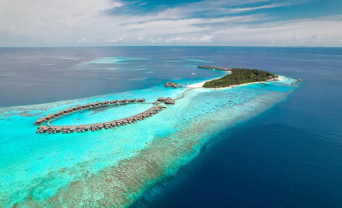 Coco Bodu Hithi
