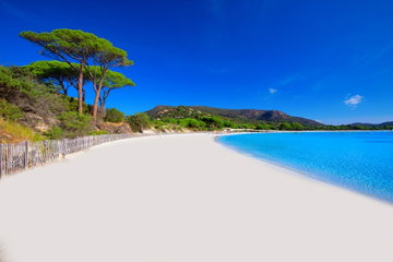Corsican Escape with Villa