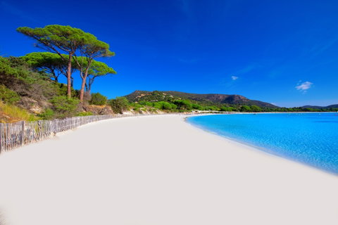 Corsican Escape with Villa