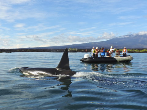 Galápagos Island Hopping