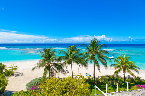 Barbados, Grenada & Saint Lucia