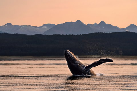 Vancouver & Wild Alaska