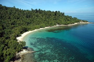 Amazing rainforest fringed beach lapped by magnificent blue water, Borneo Malaysia