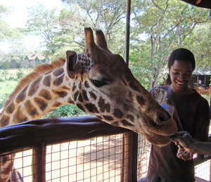 Private Out of Africa Experience