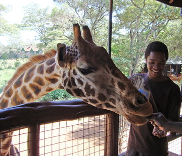 Private Out of Africa Experience