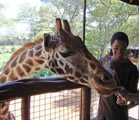 Private Out of Africa Experience