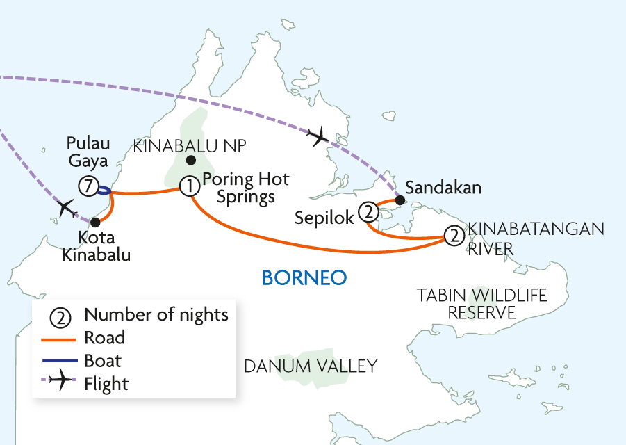 Borneo Wildlife Adventure