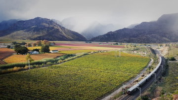 Western Cape & Wilderness by Luxury Rail (Rovos Rail)