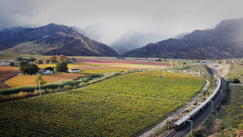 Western Cape & Wilderness by Luxury Rail (Rovos Rail)
