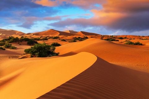 Morocco's Ancient Cities and Kasbahs