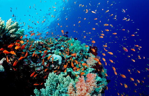 Cultural Cairo & Hurghada Beach