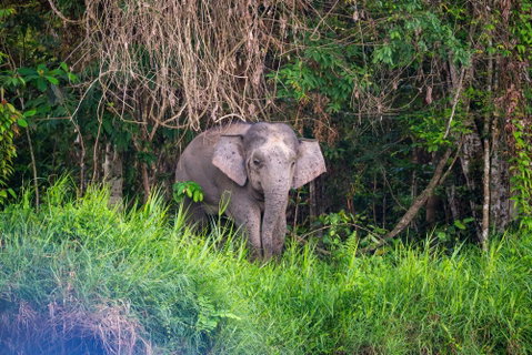 Guided Group Journeys for Solo Travellers holidays