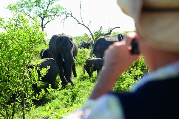 Experience South Africa with Victoria Falls add-on