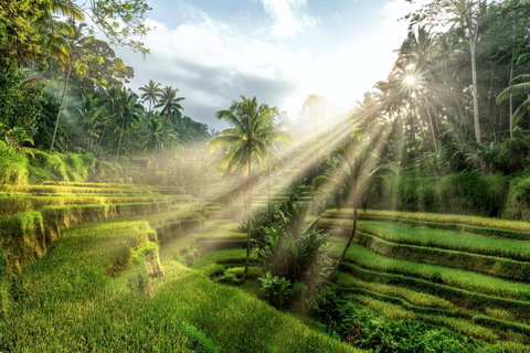 Ubud