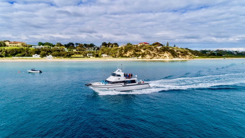 Mornington Peninsula Swim with Dolphins