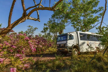 Leichhardt's Savannah Expedition
