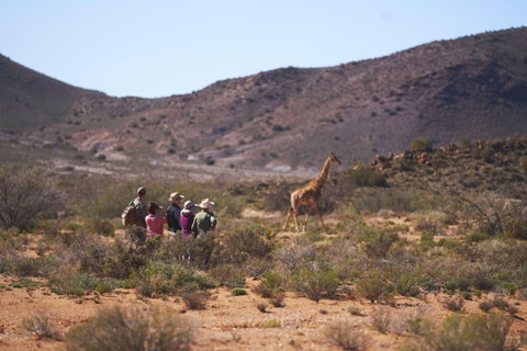 Sanbona Wildlife Reserve