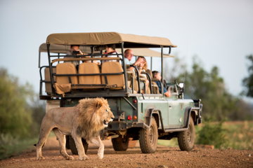 Magnificent Madikwe & Mauritius