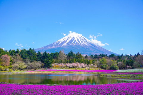 National Geographic Journeys Guided Small Group Adventure Tours holidays
