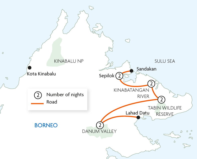 Sabah Wildlife Discovery