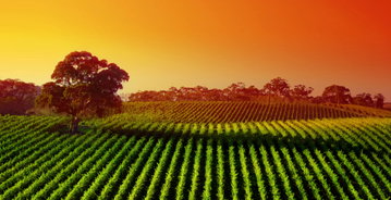 South Australia Encompassed