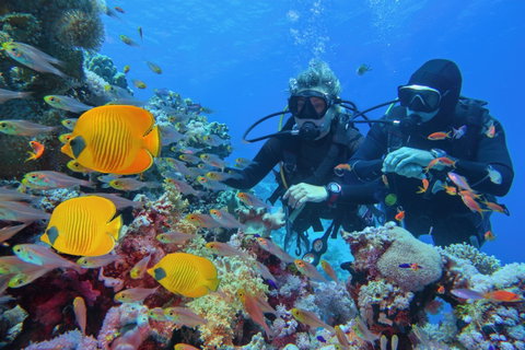 Hurghada & Soma Bay