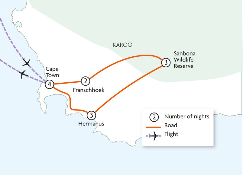 Cape Town, Wine, Game & Whales