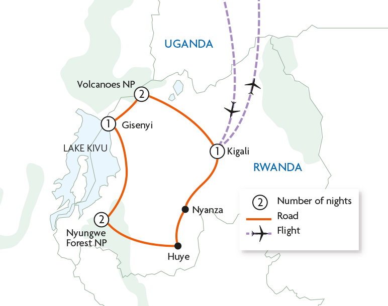 Gorillas & Chimps of Rwanda