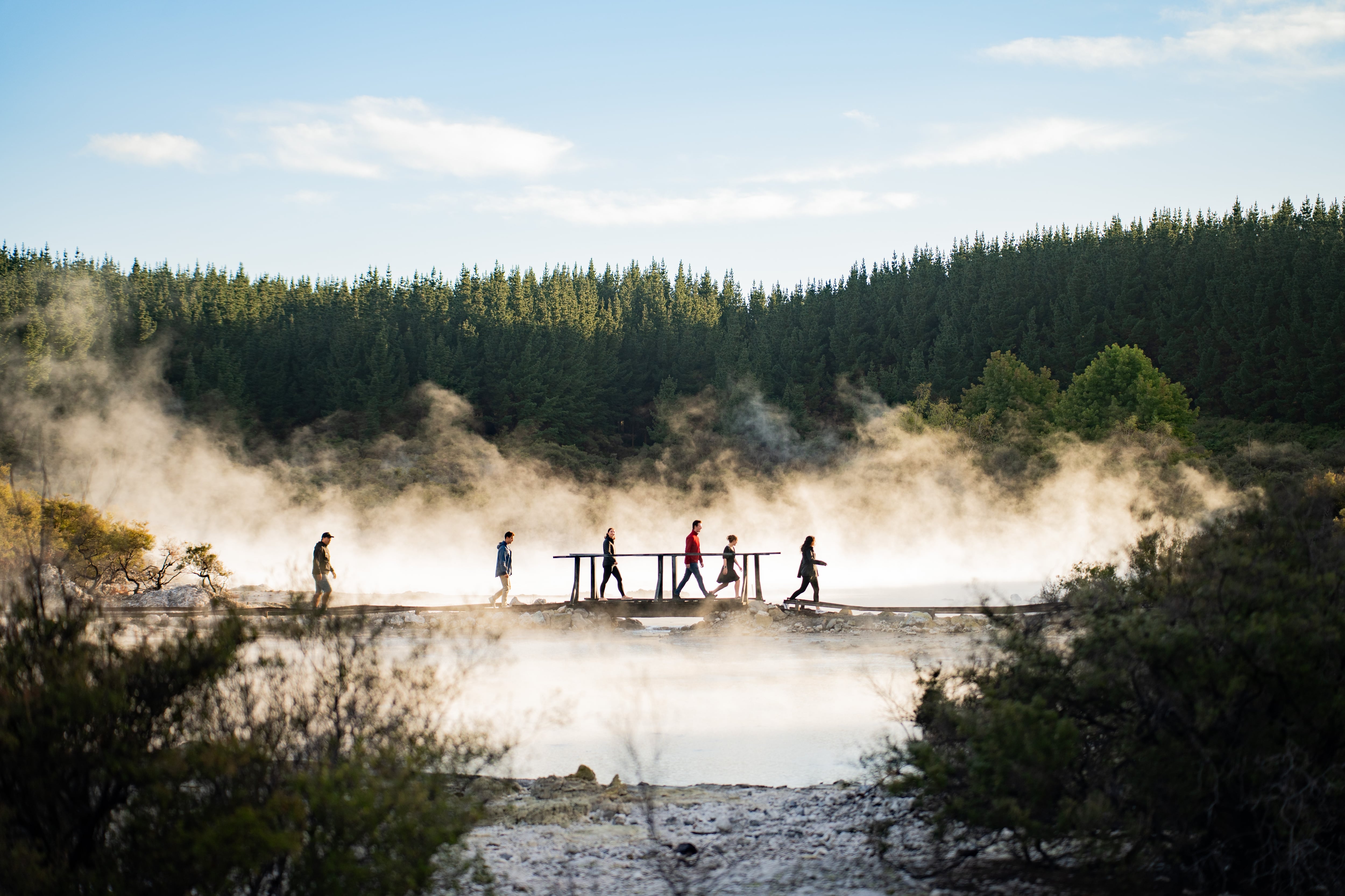 A group of tourists on the Hellsgate Steam Walking Kiwi Experience, New Zealand