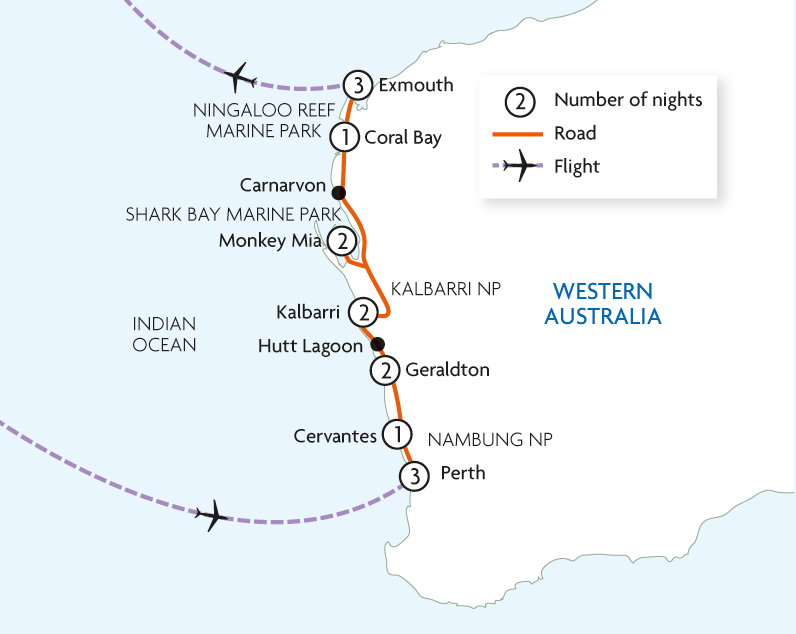 Western Shores & Whale Sharks