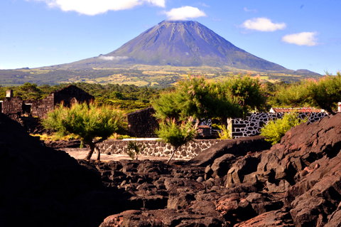 Pico Island Day Tour