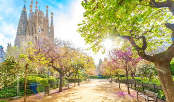 Park Guell and Sagrada Familia Tour