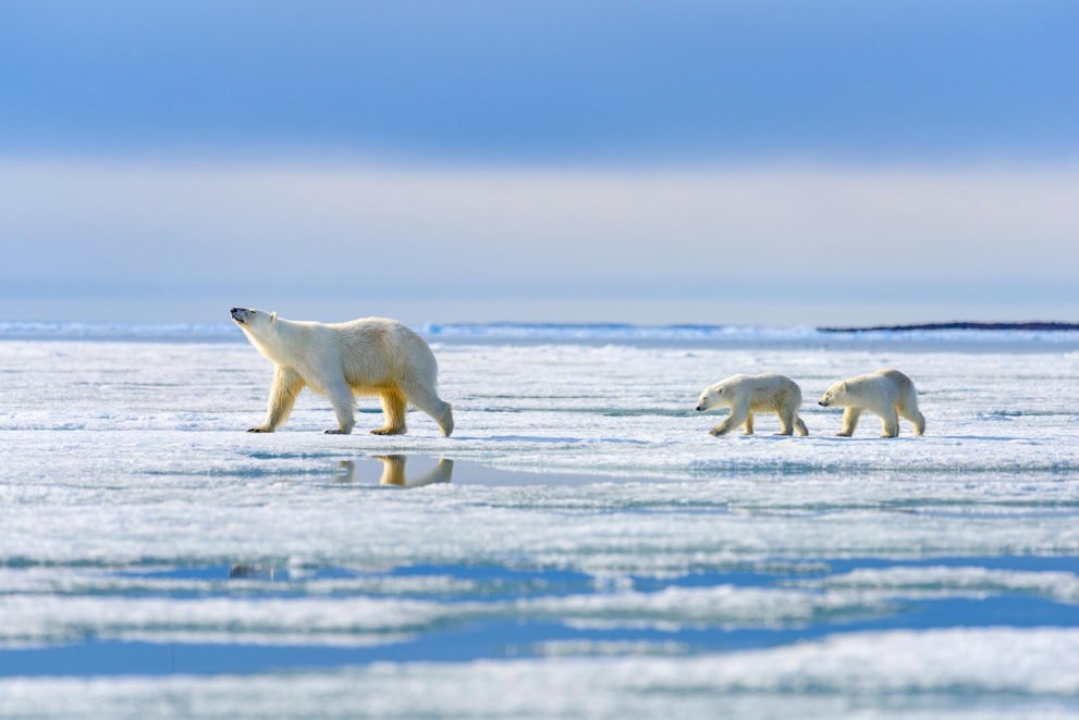 Discover Norway & the Arctic Circle from £999