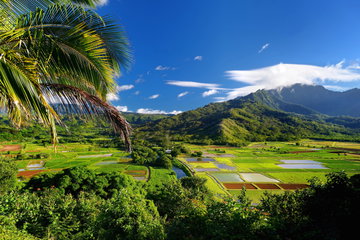 Oahu Grand Circle Tour