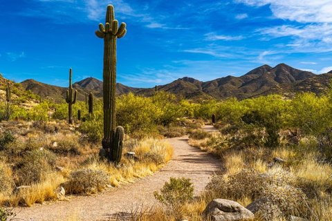 USA Trekking Holidays