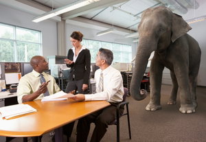 The growing Elephants