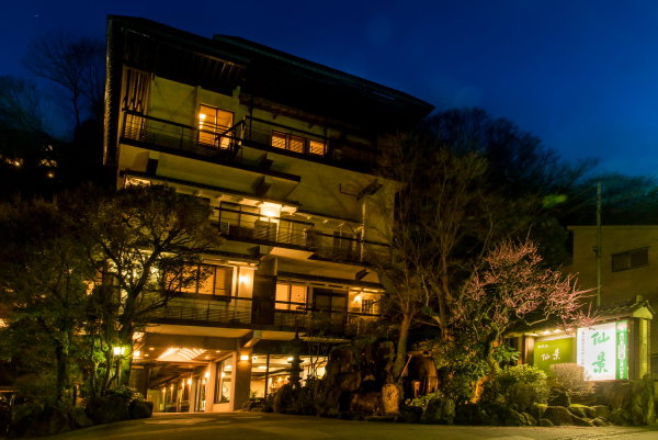 Hotel Senkei