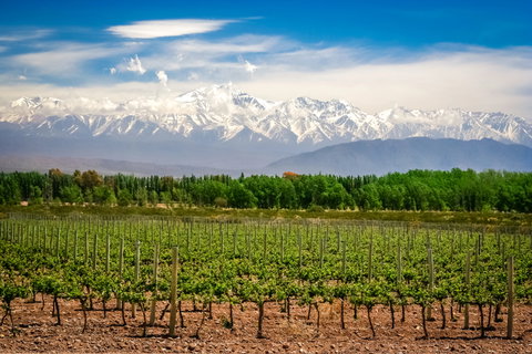 Food & Wine Holidays holidays