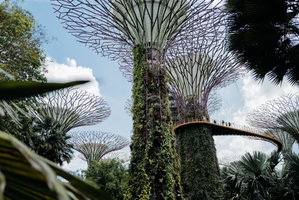 Private Sustainable Singapore Tour: Iconic Architecture & Gardens by the Bay (with transfers)
