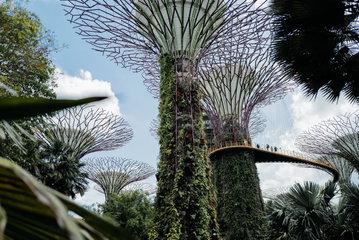 Private Sustainable Singapore Tour: Iconic Architecture & Gardens by the Bay (with transfers)