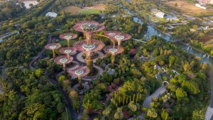 Private Introduction to Singapore (with one way transfer)