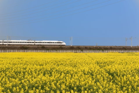 Rail Holidays holidays